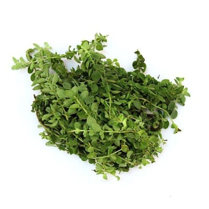 Fresh Oregano 50 Gms