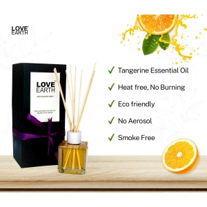 Love Earth Premium Reed Diffuser Orange Natural Long-Lasting Fragrance