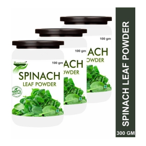 rawmest-spinach-leaf-powder-dehydrated-palak-instant-soup-300-gm-pack-of-3