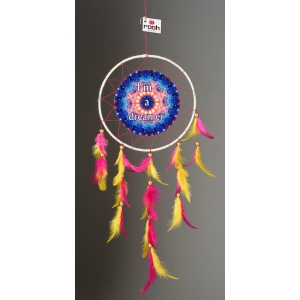 dream-catcher-canvas-im-a-dreamer