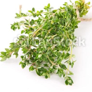 Thyme Fresh 20 gms