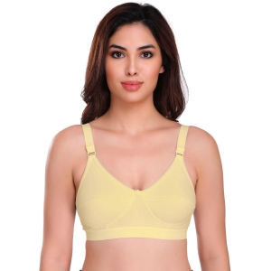 Eve's Beauty Basic Bra Women Full Coverage Non Padded Bra-42D / Skin / Cotton Blend