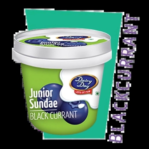 black-current-junior-sundaes