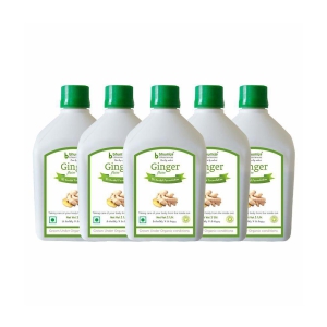 BHUMIJA LIFESCIENCES Ginger Juice   Health Drink Liquid 5 l Pack of 5
