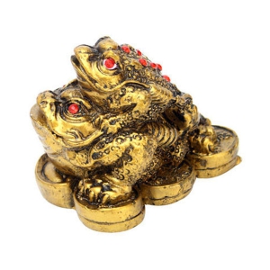 astrogallery-fengshui-double-money-frog