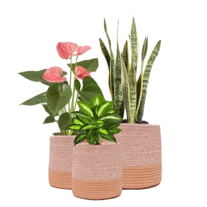 dual-tone-jute-baskets-set-of-3