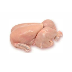 fresh-broiler-chicken