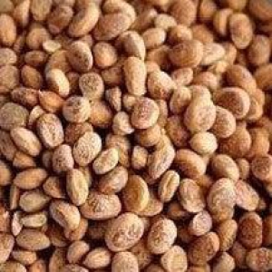 ALMONDETTE SEEDS/CHIRANJI/CHAROLI 250g