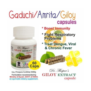 GADUCHI /AMRITA/GILOY (Tinosporia Cordifolia) 60 Capsule 500 mg