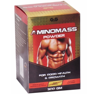 Rikhi G&G Amino Mass Powder 300 gm Pack Of 1