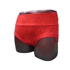 P5667 SAREE SUPPORT BRASSO MODAL PANTY