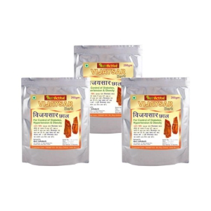 NutrActive Vijaysar Bark 600 gm