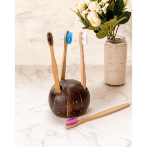 coconut-shell-toothbrush-holder