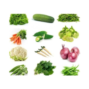 12 VEG COMBO (10-10SEEDS OF EACH ONE ) TOTAL 120 SEEDS PACK WITH MANUAL