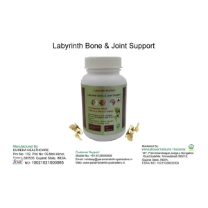 Labyrinth Joint Support_60T