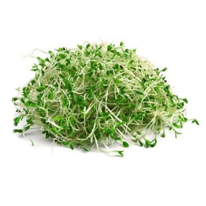 Alfalfa Sprouts 50 Gms