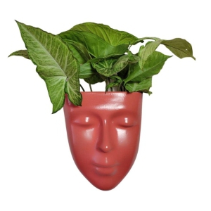 DZIGN Hanging Wall Planter, Face Planter, Balcony Planter, Wall Hanging Indoor Planter, Outdoor Planter, Head Planter for Home Decor and Garden Hanging. Orange Male Face Planter Pack of 1.