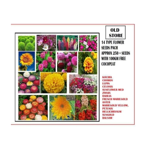 COMBO OF 14 TYPE FLOWER SEEDS WITH 100 GM FREE COCOPEAT 250+ SEEDS PACK AND USER MANUAL (ASTER,BALSAM,DAHLIA,COSMOS,CELOSIA,KOCHIA,MARIEGOLD YELLOW,FRENCH MARIEGOLD,SUN GOLD,SUNFLOWER MED,ZI