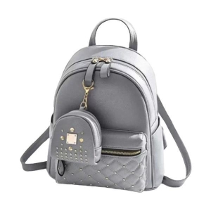 Attractive Grey Backpack