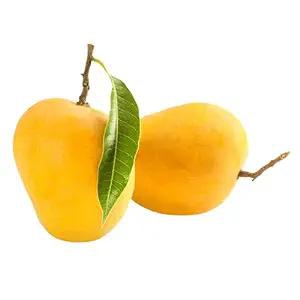 Mango - Alphonso / Ratnagiri 2 pcs