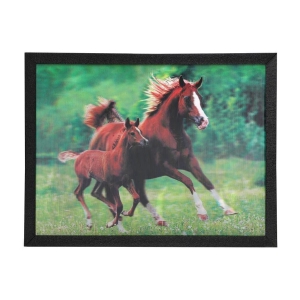 Saf 5D Animal Painting With Frame