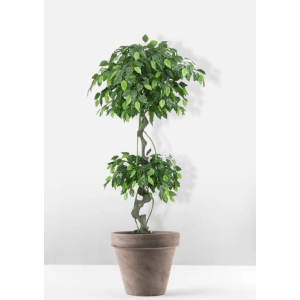 Euroxo Artificial Topiary Panda Ficus - 150 Cm