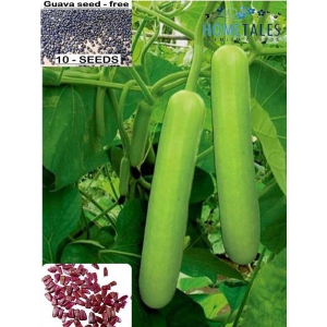 homeagro- Bottle Gourd Vegetable Seeds (Pack of 10)