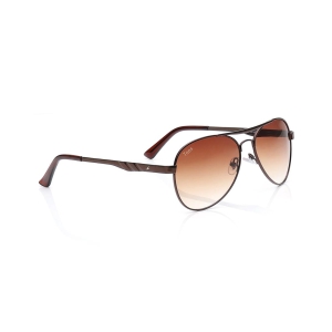 Brown Navigator Sunglasses for Men and Women