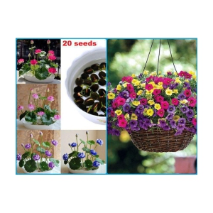 homeagro - Combo of Lotus Flower Mix Colors ( 20 seed ) and Petunia Flower mix ( 50 seed)