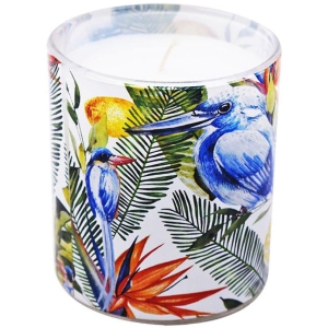 Kookee - Multicolor Votive Candle 10 cm ( Pack of 1 )