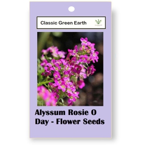 CLASSIC GREEN EARTH - Flower Seeds ( Alyssum Rosie O Day - Flower 50 Seeds )