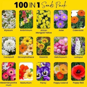 Varieties of Flower Seeds (Pack of 100)