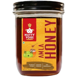 nutty-yogi-amla-honey-500