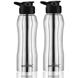 Speedex Hydrate Silver 1000 mL Steel Fridge Bottle set of 2 - Silver