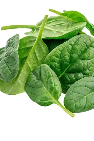 baby-spinach-100-gms