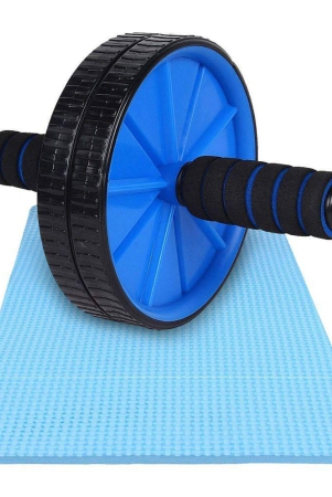 horse-fit-abs-roller-pack-of-1-free-size