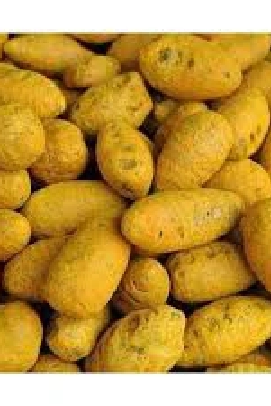 vattam-turmeric-bulb-1-kg