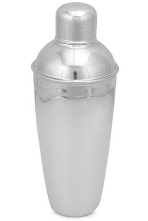 dynore-stainless-steel-shakers-750-ml-silver-silver