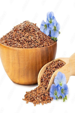 mygodgift-flax-seeds-alsi-seeds-for-eating-flax-seeds-for-weight-management-400-gm