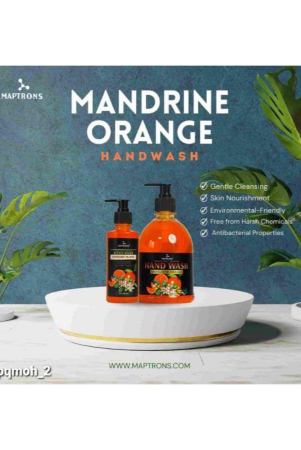 maptrons-premium-quality-mandarin-orange-hand-wash-2-pcs-500-ml-each-1000