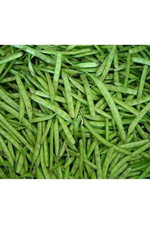 bs-seeds-luster-beans-organic-f1-hybrid-seeds-50-to-100-seeds