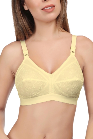 eves-beauty-women-full-coverage-bra-44c-skin-cotton