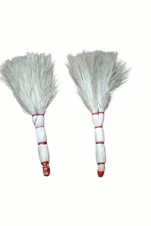 khajur-jhadu-khajur-broom