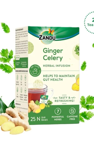 ginger-celery-herbal-infusion-tea-for-gut-health-25-tea-bags