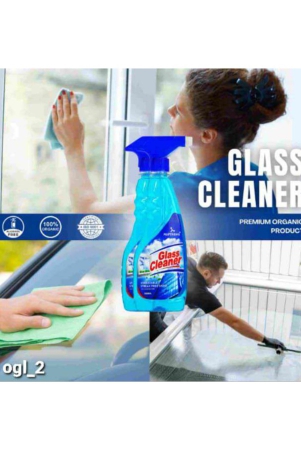 maptrons-organic-glass-cleaner