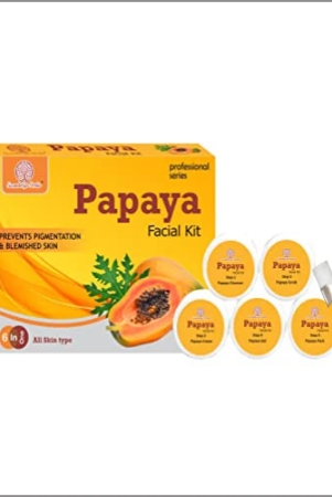 soundarya-herbs-papaya-prevent-pigmentation-blemished-skin-facial-kit-140g