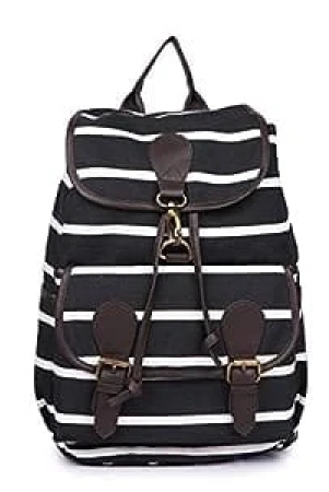Lychee bags Canvas Backpack (Black Color)