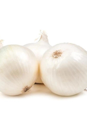 onion-white-seeds-onions-kanda-round-shaped-pyaaz-seeds-200-seeds