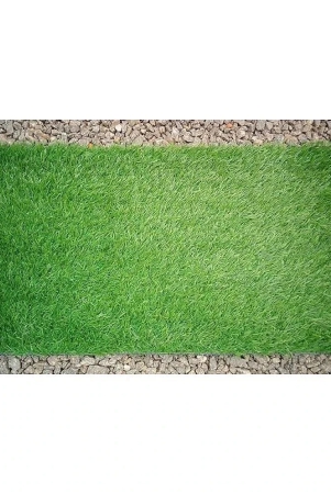 revexo-anti-skid-plastic-door-mat-40-x-60-cm-single-green-green