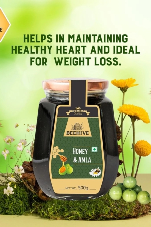 beehive-amla-honey-500-gm